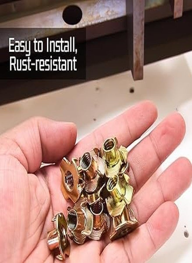 TheMujtaba Yellow Zinc (M6) T-Nut Ideal for Wood, Particle & Composite Materials - Corossion Resistant Nuts - Woodworking and Furniture (100 Pack) - Image 5